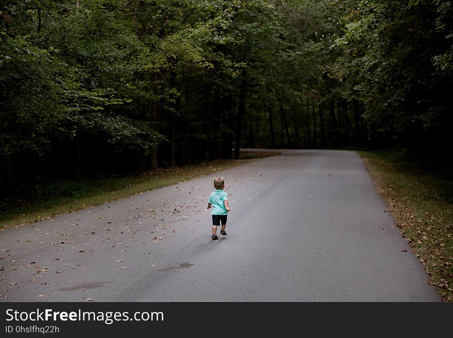 Road, Path, Trail, Lane