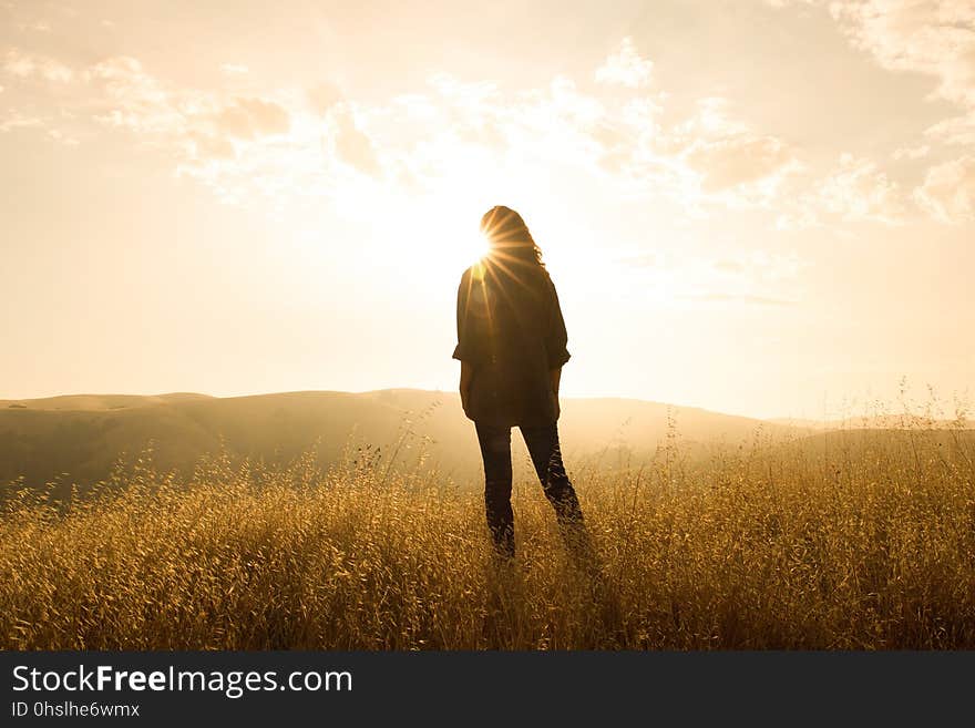 Sky, Field, Grassland, Grass