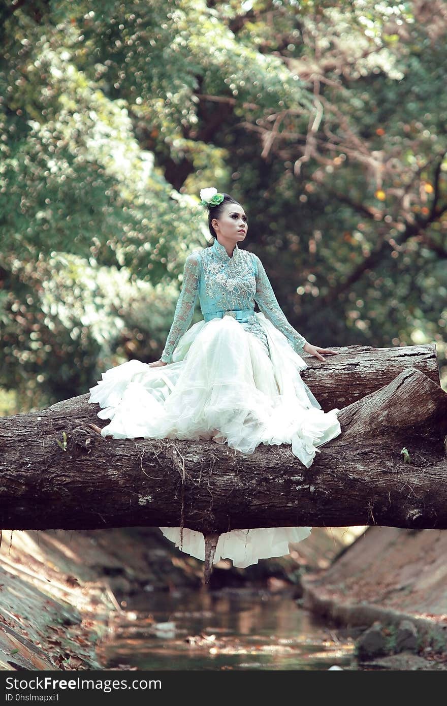 Woman, Photograph, Nature, Bride