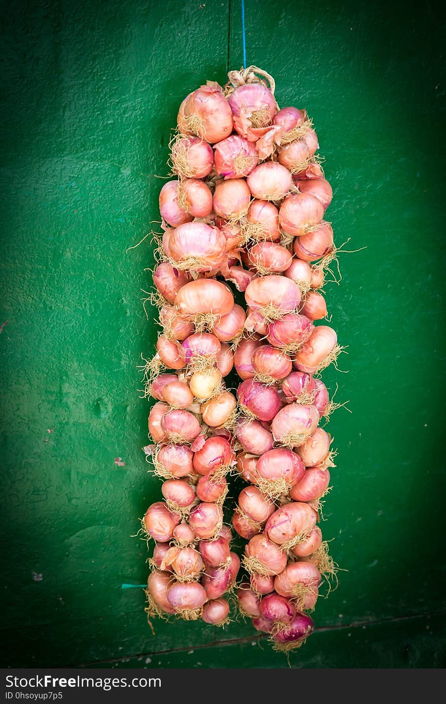 A hanging bag of onion with green background in morrocco