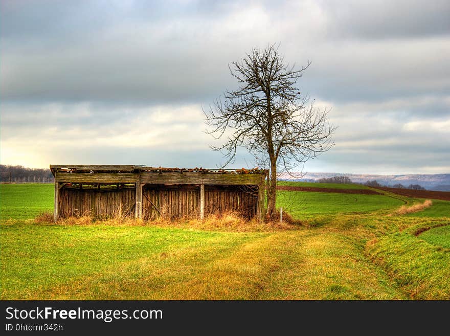 Grassland, Field, Sky, Pasture