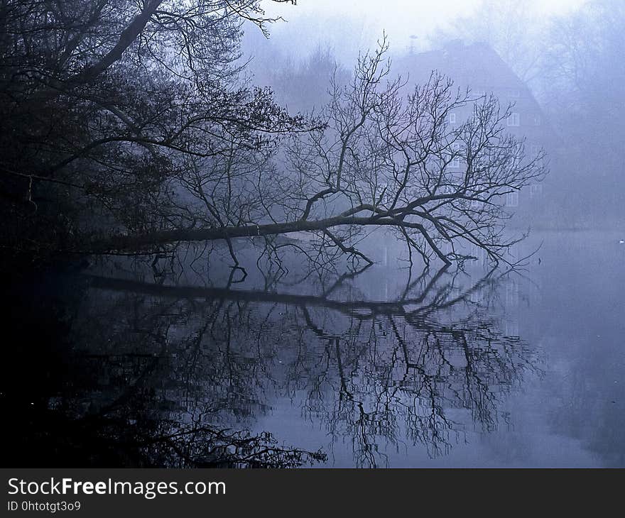 Water, Nature, Reflection, Fog