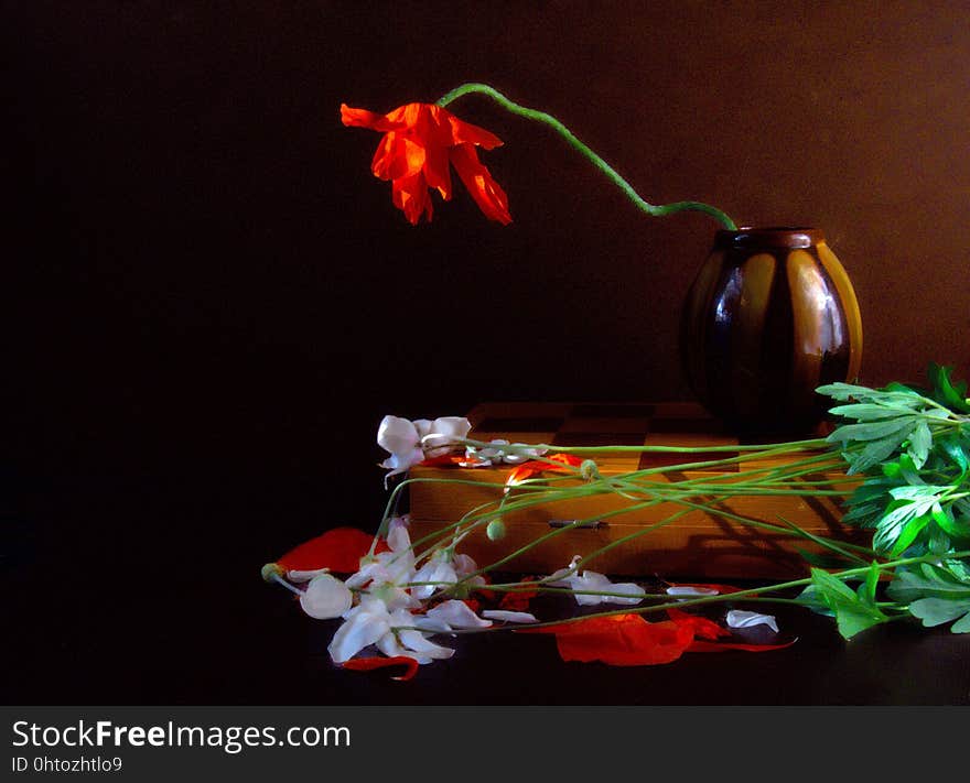 Still Life, Flower, Still Life Photography, Painting