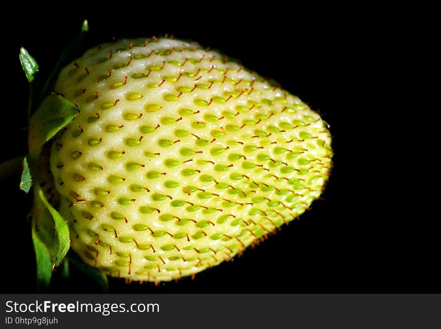 Close Up, Macro Photography, Organism, Fruit