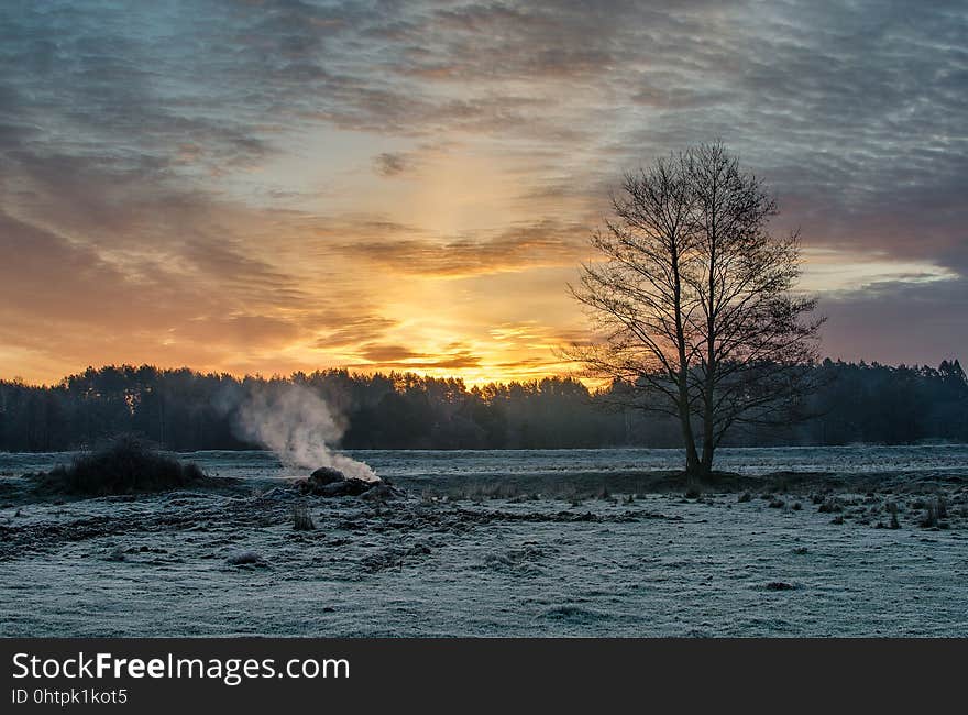 Water, Sky, Nature, Dawn