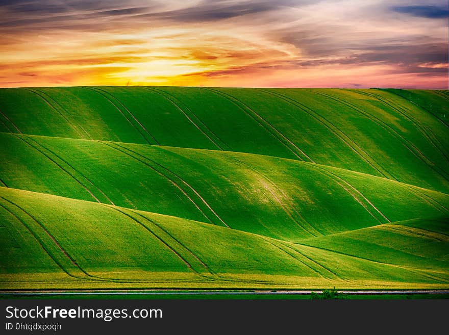 Grassland, Sky, Field, Ecosystem