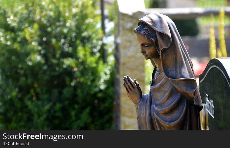 Statue, Plant, Tree, Grass