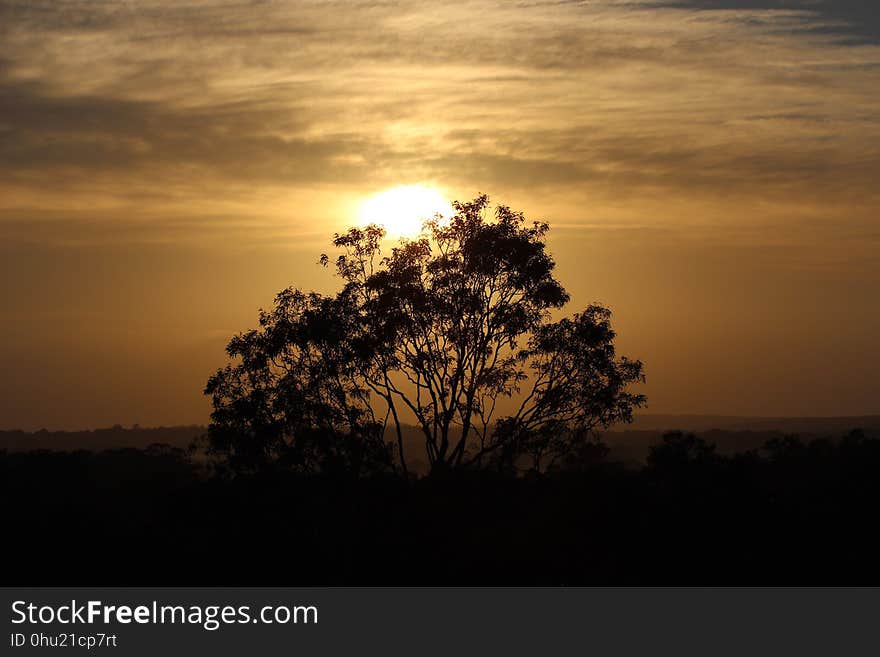 Sky, Tree, Sunrise, Sunset