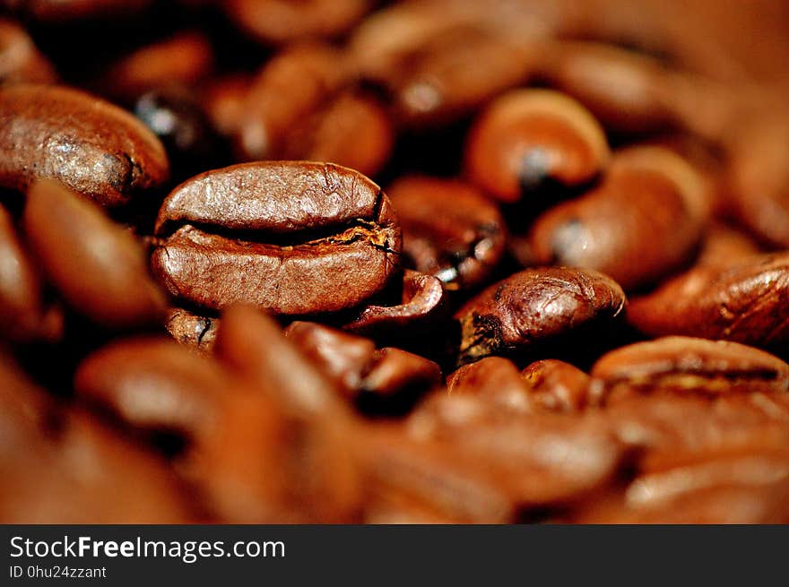 Caffeine, Cocoa Bean, Jamaican Blue Mountain Coffee, Coffee