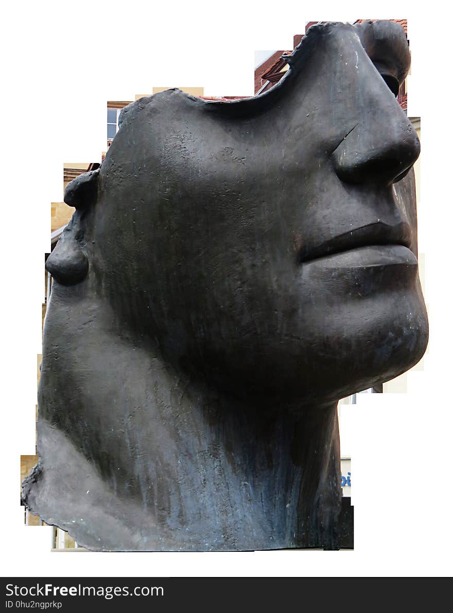 Head, Sculpture, Snout