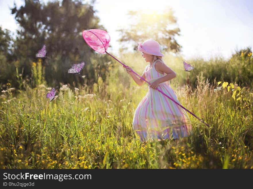 Nature, Meadow, Flower, Wildflower