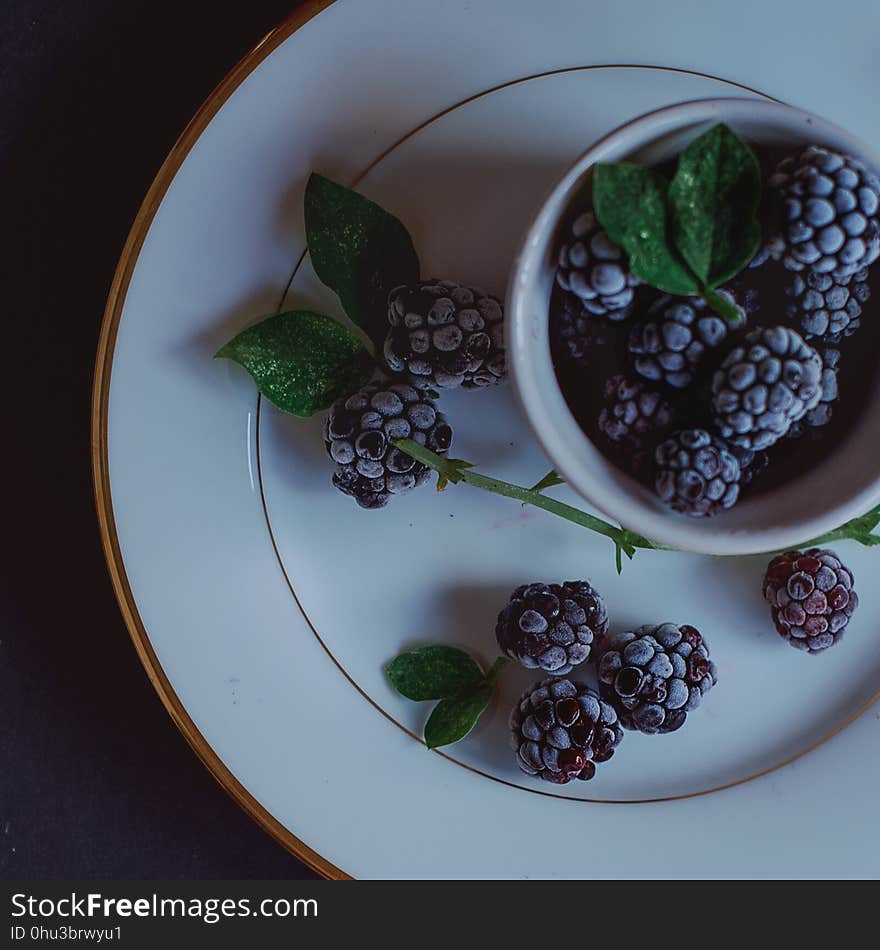 Dishware, Tableware, Plate, Blackberry