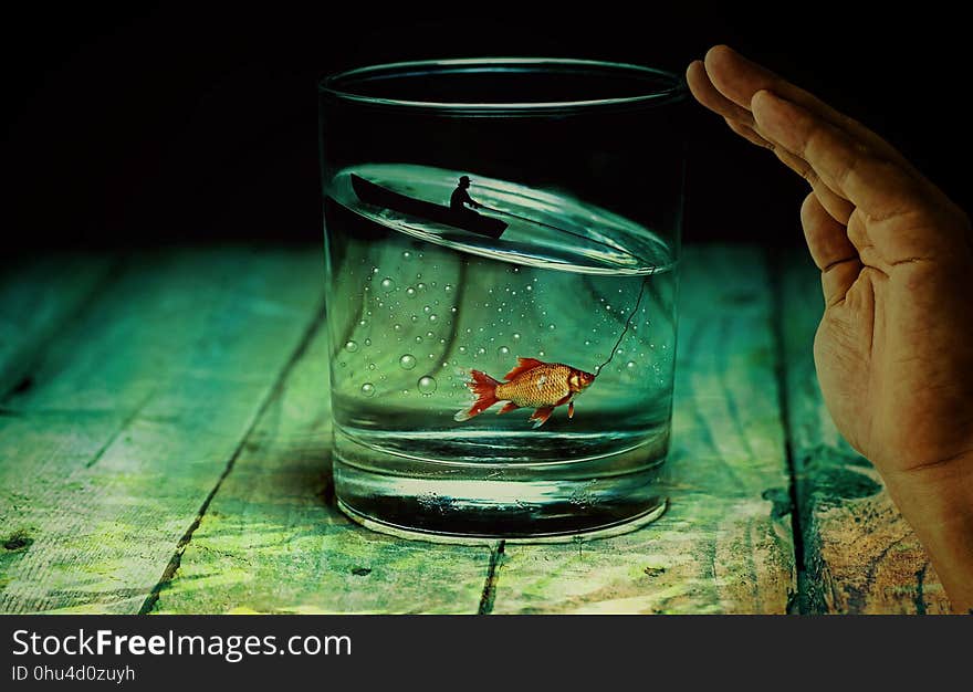 Glass, Water, Still Life Photography, Transparency And Translucency