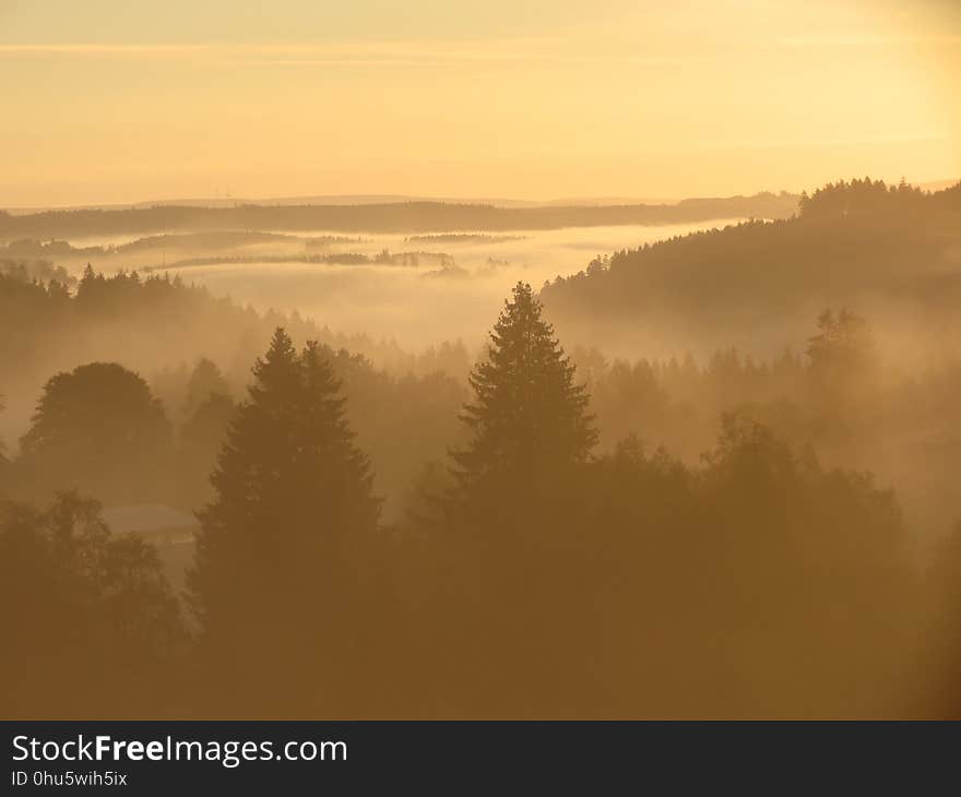 Sky, Mist, Fog, Morning