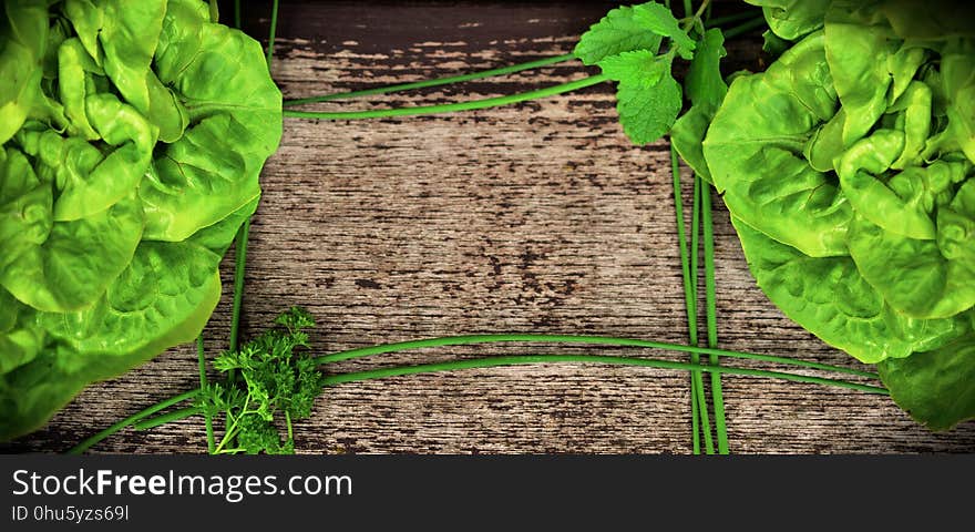 Green, Leaf, Plant, Leaf Vegetable