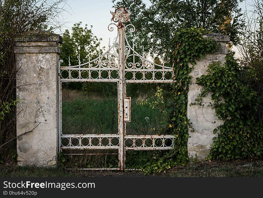 Iron, Wall, Gate, Grass