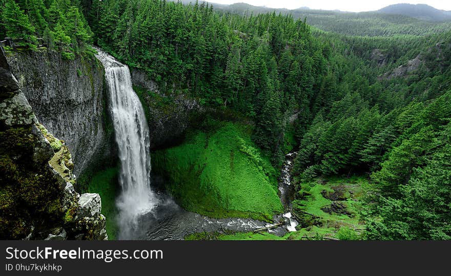 Vegetation, Waterfall, Nature, Nature Reserve