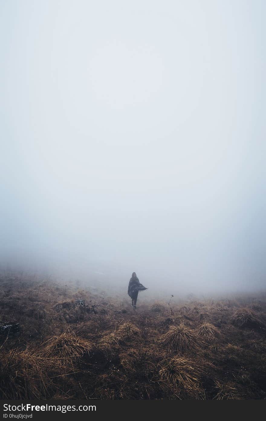 Fog, Mist, Sky, Atmosphere