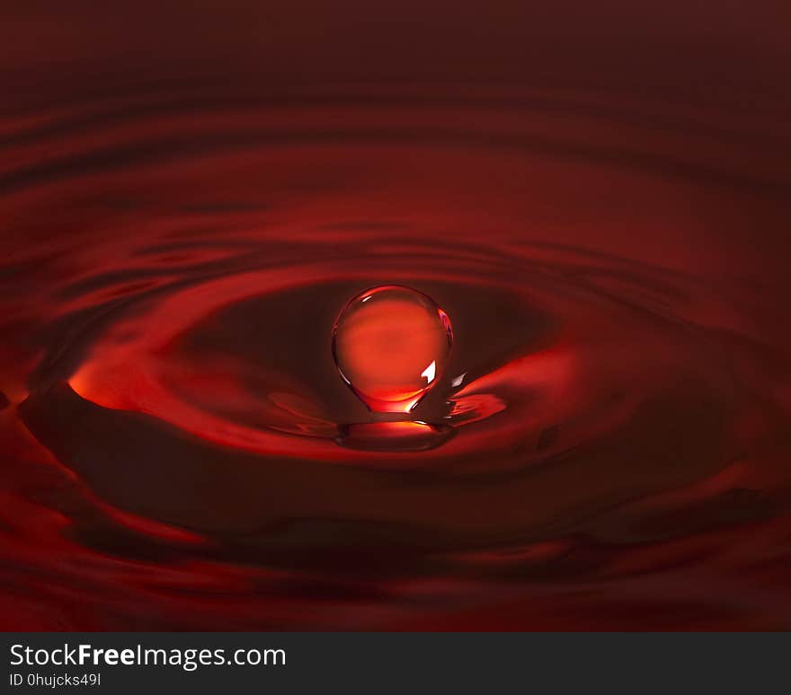 Red, Close Up, Still Life Photography, Drop