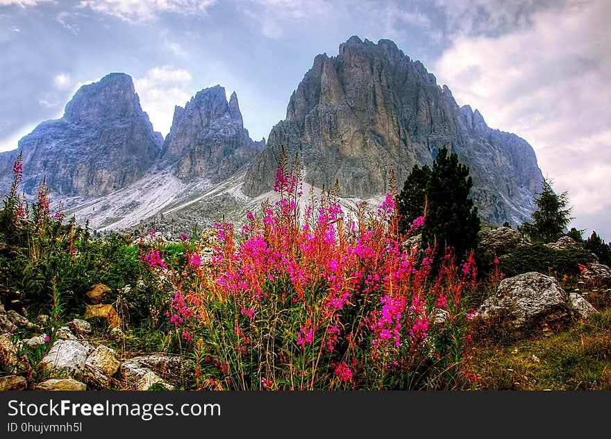 Mountainous Landforms, Mountain, Nature, Vegetation