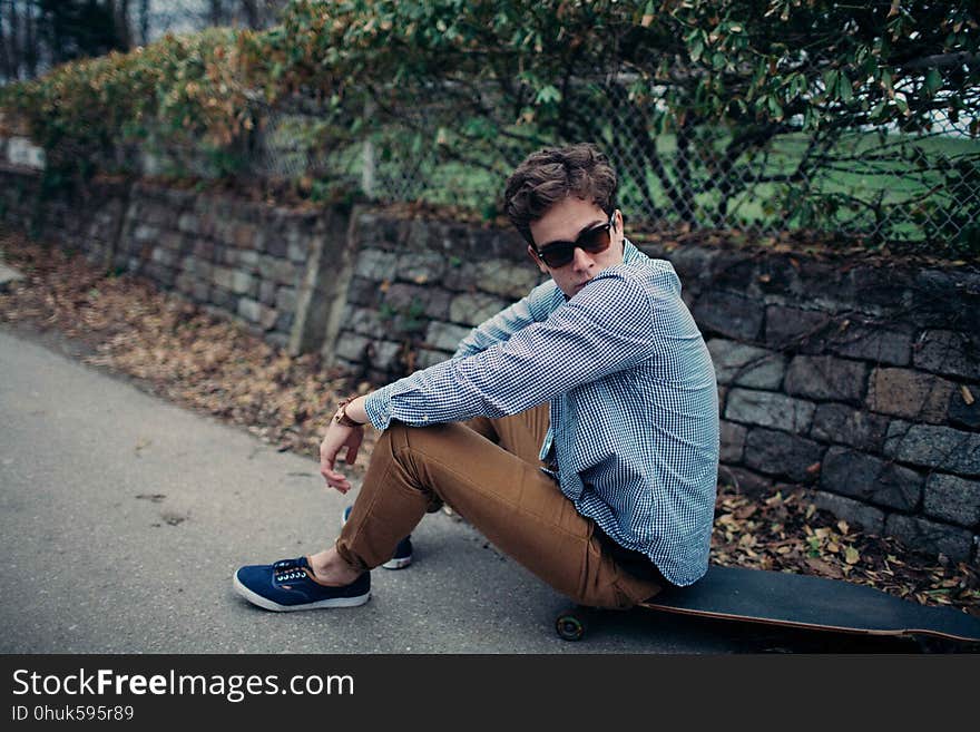 Photograph, Sitting, Tree, Plant