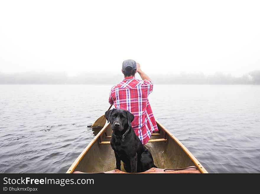 Photograph, Water Transportation, Boating, Water