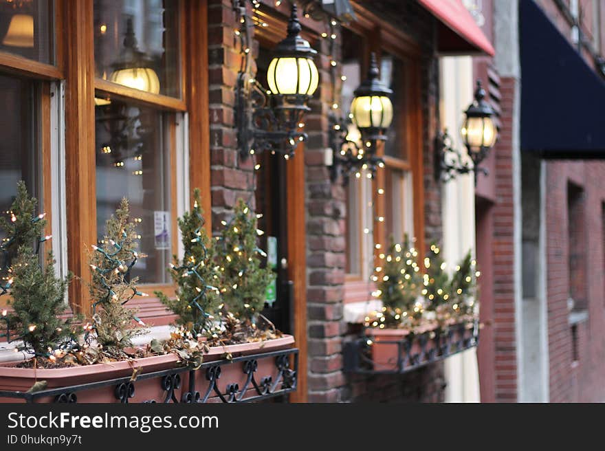 Home, Christmas Decoration, Lighting, Window