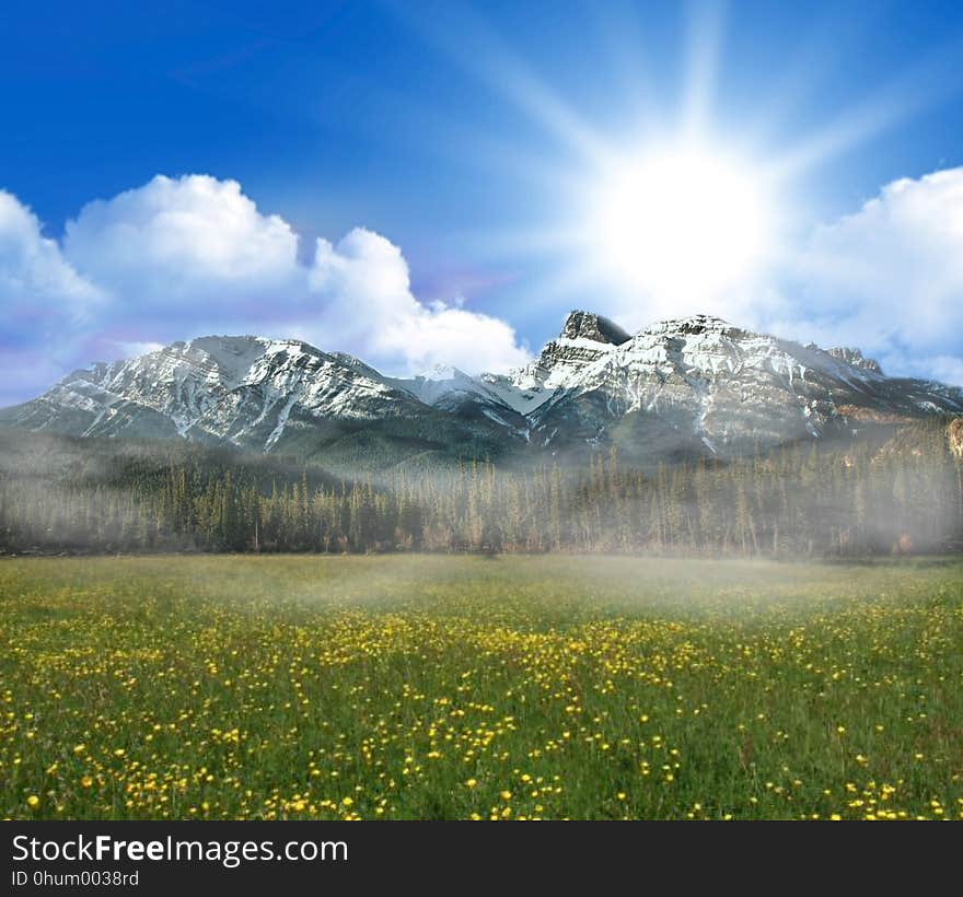 Grassland, Sky, Nature, Ecosystem