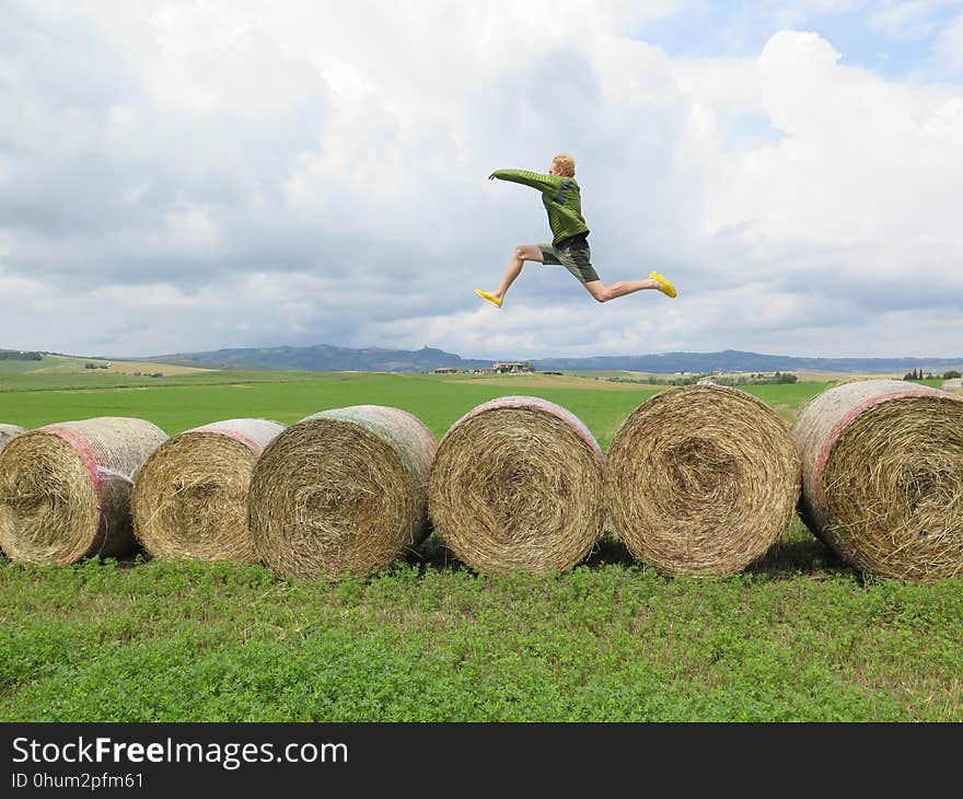 Hay, Field, Agriculture, Grass