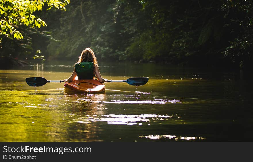 Waterway, Nature, River, Kayak