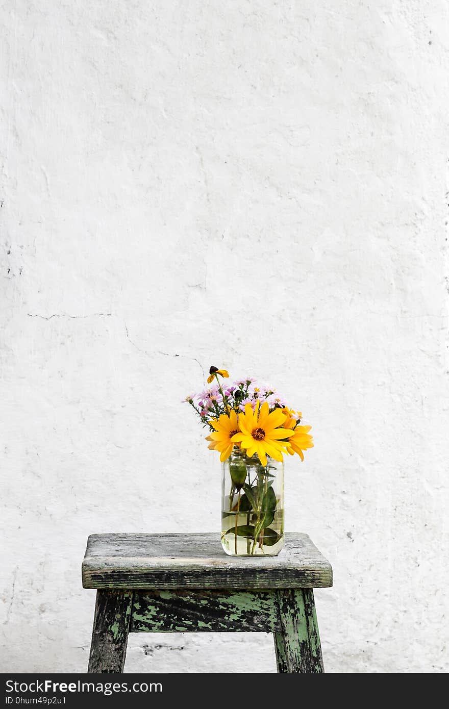 Flower, Yellow, Wall, Flowerpot