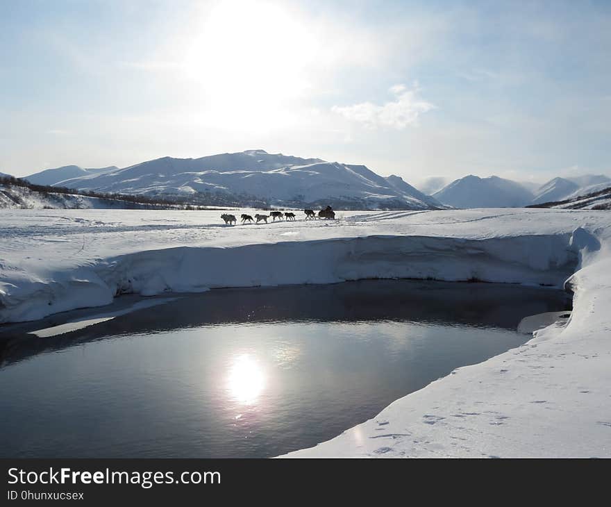 Snow, Winter, Freezing, Glacial Lake