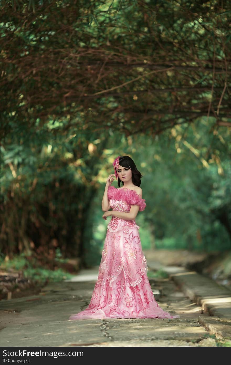 Photograph, Nature, Pink, Gown