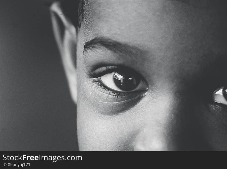 Eyebrow, Face, Black And White, Nose