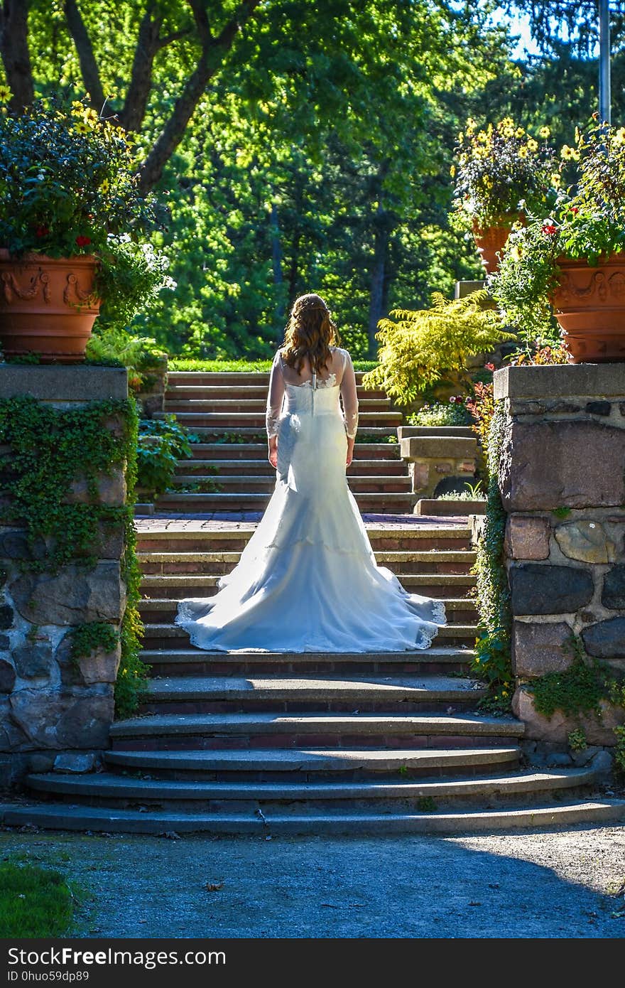 Bride, Photograph, Woman, Dress