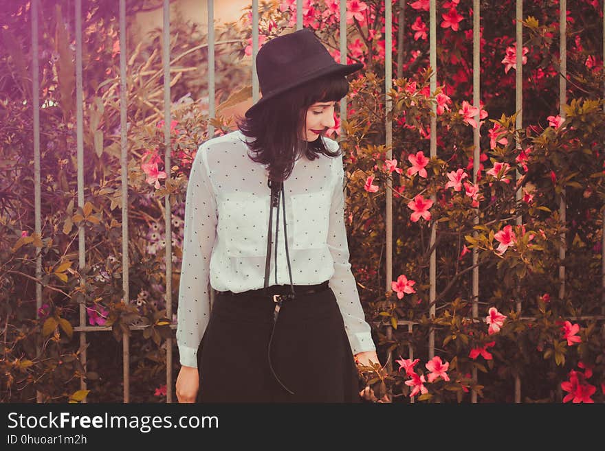 Pink, Clothing, Flower, Plant