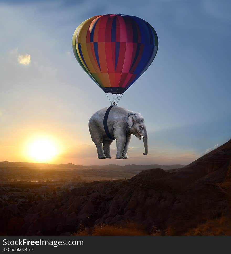 Hot Air Ballooning, Elephants And Mammoths, Hot Air Balloon, Sky