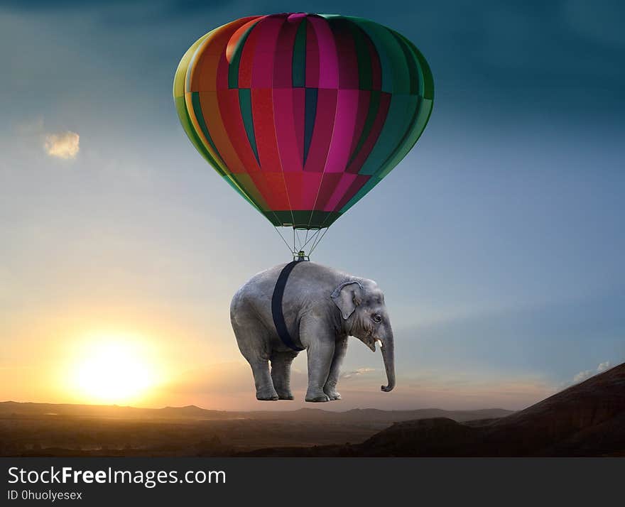 Elephants And Mammoths, Hot Air Balloon, Hot Air Ballooning, Sky