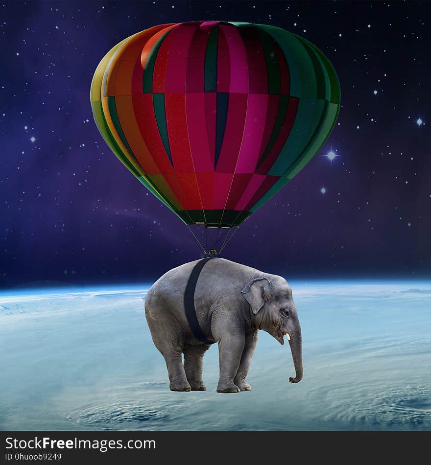 Elephants And Mammoths, Mammal, Sky, Atmosphere Of Earth