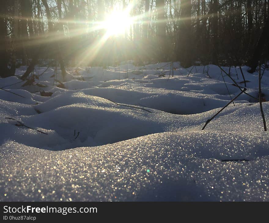 Snow, Winter, Freezing, Sky