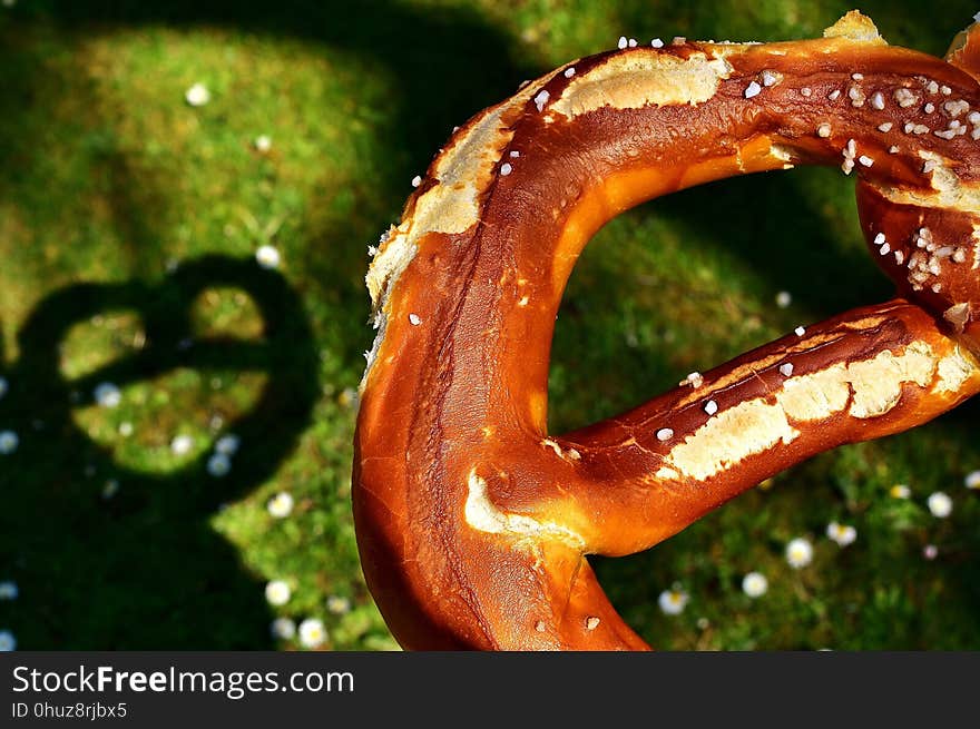 Close Up, Serpent, Organism, Pretzel