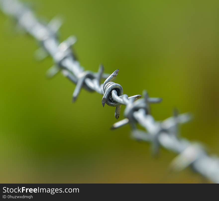 Macro Photography, Close Up, Barbed Wire, Wire Fencing