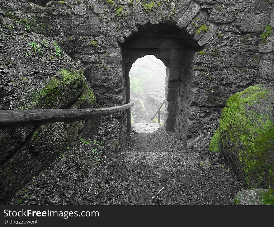 Ruins, Tunnel, Arch, Grass