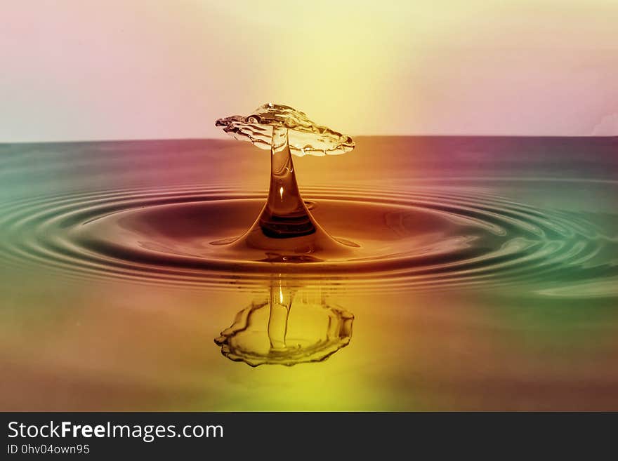 Water, Water Resources, Drop, Macro Photography