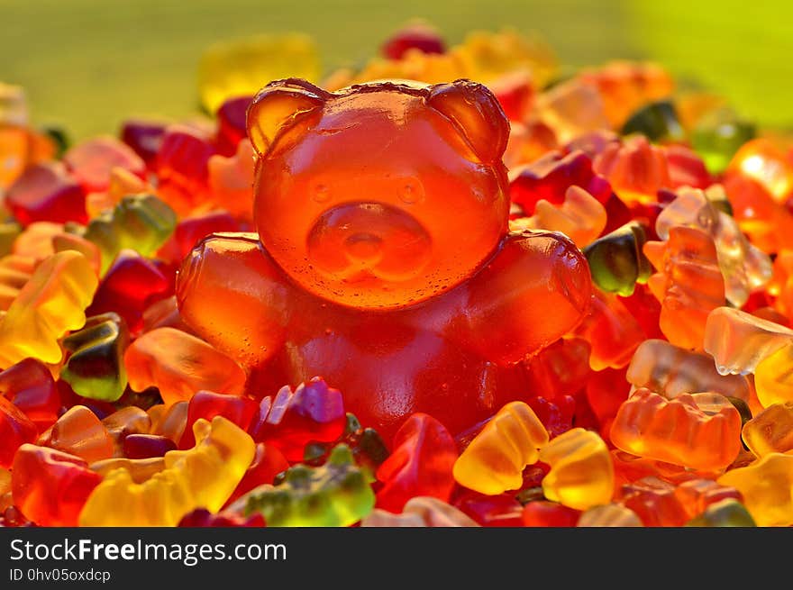 Orange, Flower, Petal, Close Up