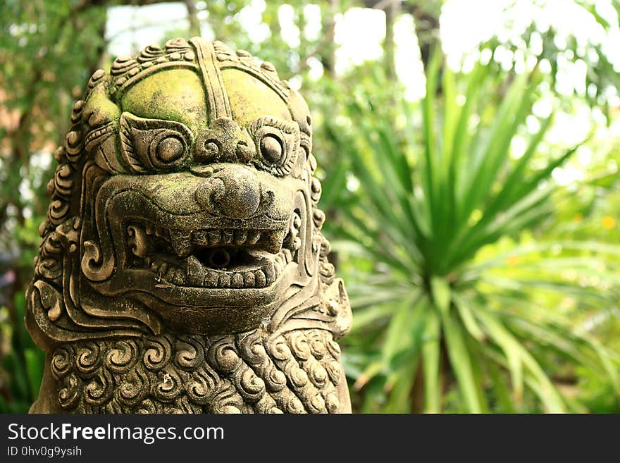 Green, Carving, Statue, Tree