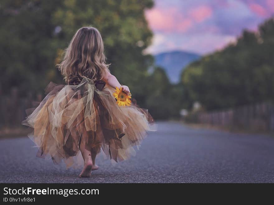 Girl, Dress, Long Hair, Fun