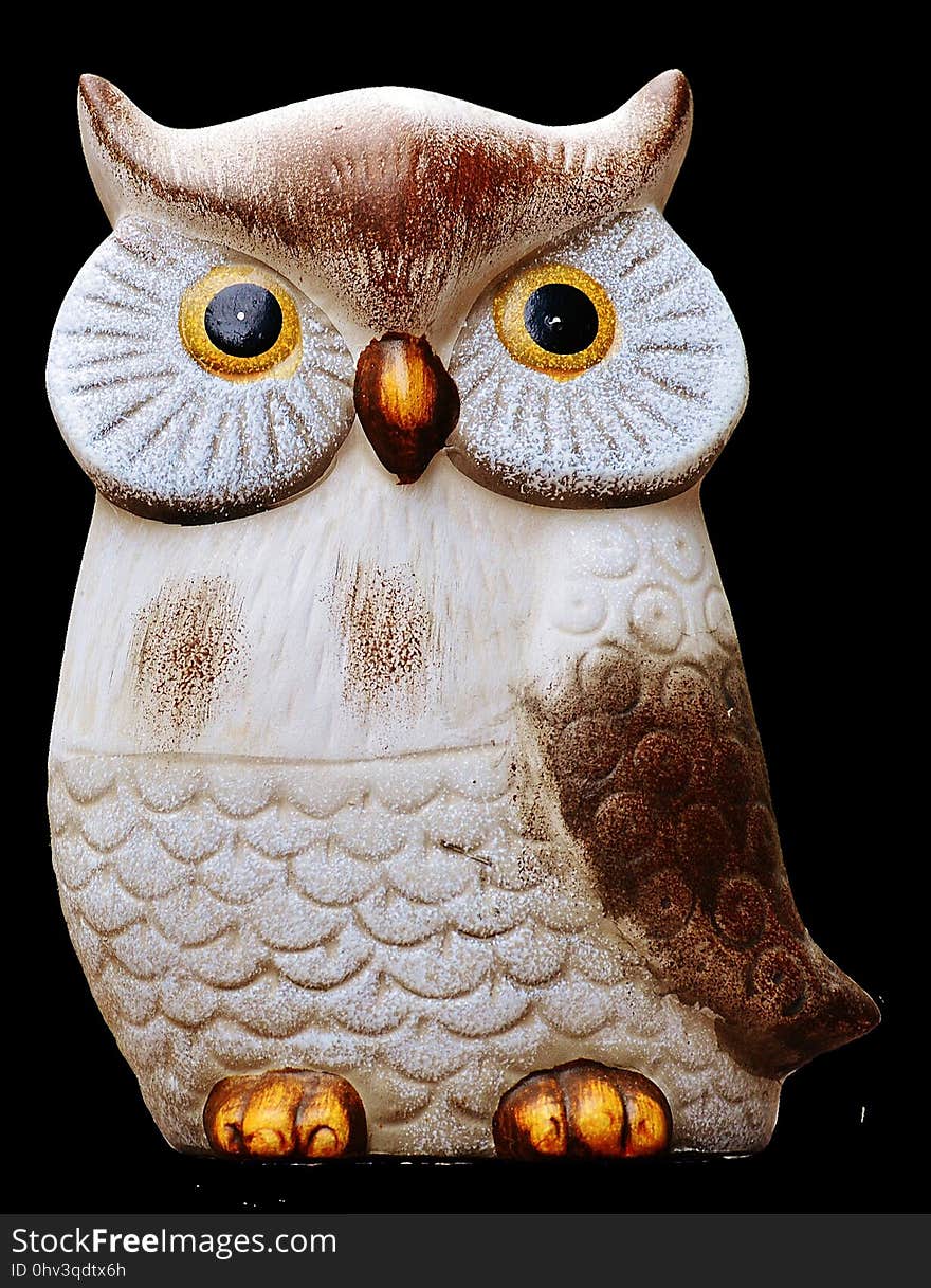 Owl, Bird Of Prey, Bird, Beak