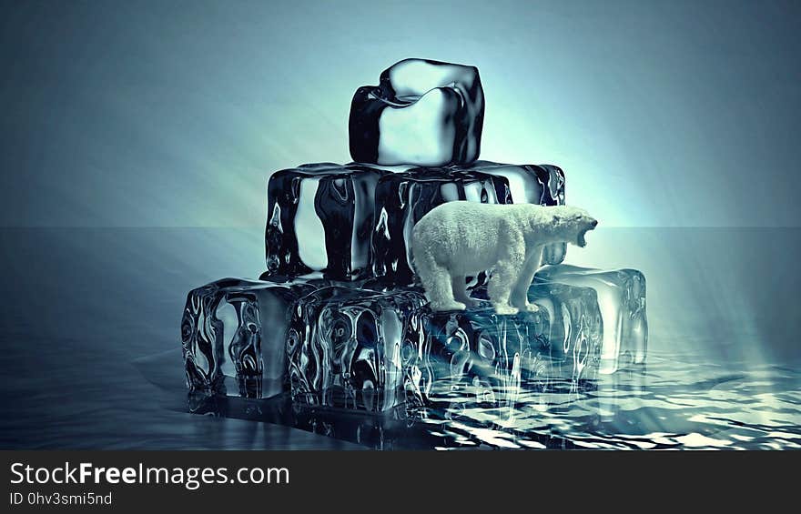 Water, Ice, Still Life Photography, Melting