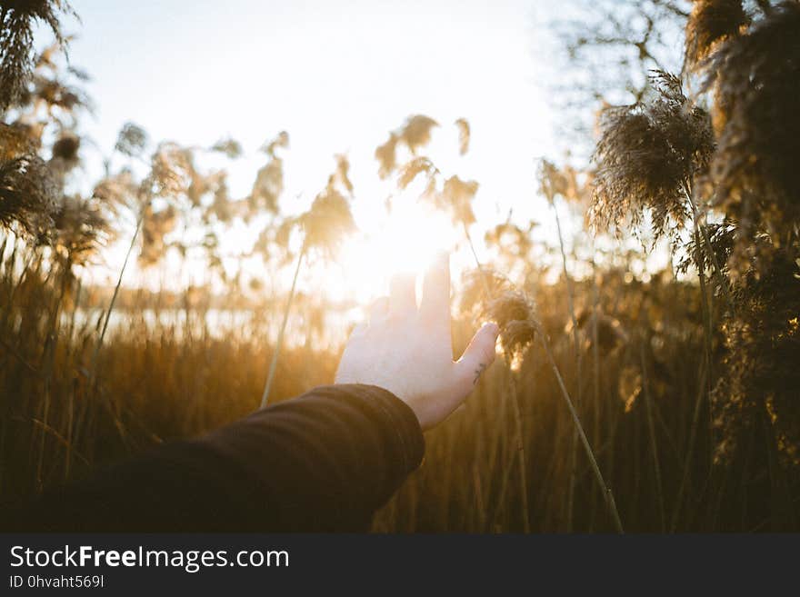 Chasing Light